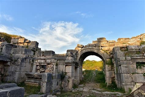  Xanthos' Dream: Delving into the Surreal Depths of 7th-Century Javanese Sculpture!